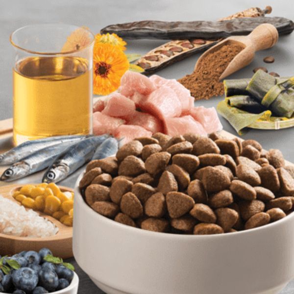 Сухой корм для собак BonaCibo с курицей, рисом и анчоусом 15 kg BC405765 фото