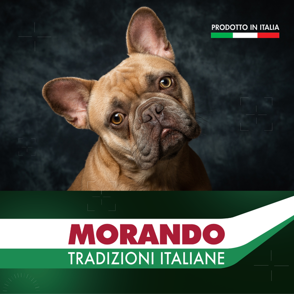 Сухой корм для собак Morando Tradizioni Grain Free с говядиной и горохом 15 kg 02753 фото