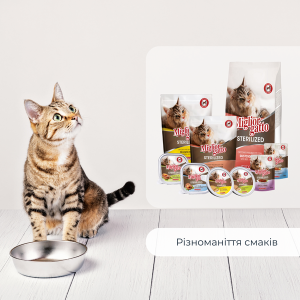 Сухой корм для стерилизованных кошек Morando Migliorgatto Sterilized с лососем 400 g 01487 фото