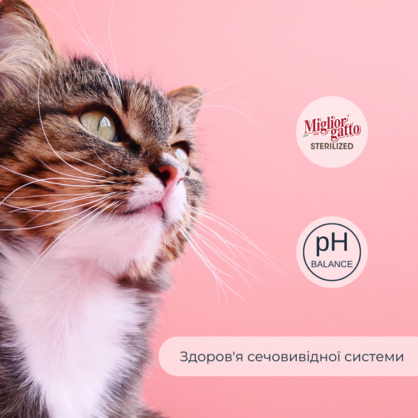 Сухой корм для стерилизованных кошек Morando Migliorgatto Sterilized с лососем 400 g 01487 фото