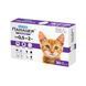 SUPERIUM Panacea antiparasitic tablets for cats weighing 0.5&ndash;2 kg &ndash; purple packaging with ginger kitten