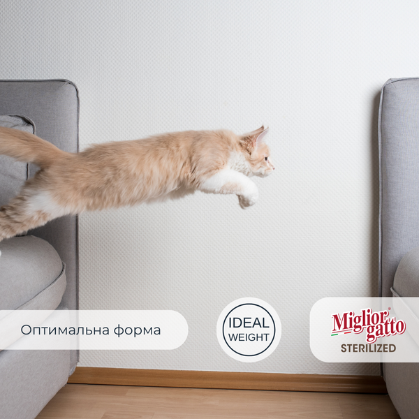 Сухий корм для стерилізованих котів Morando Migliorgatto Sterilized з лососем 800 g 01491 фото
