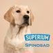 Labrador Retriever with SUPERIUM logo