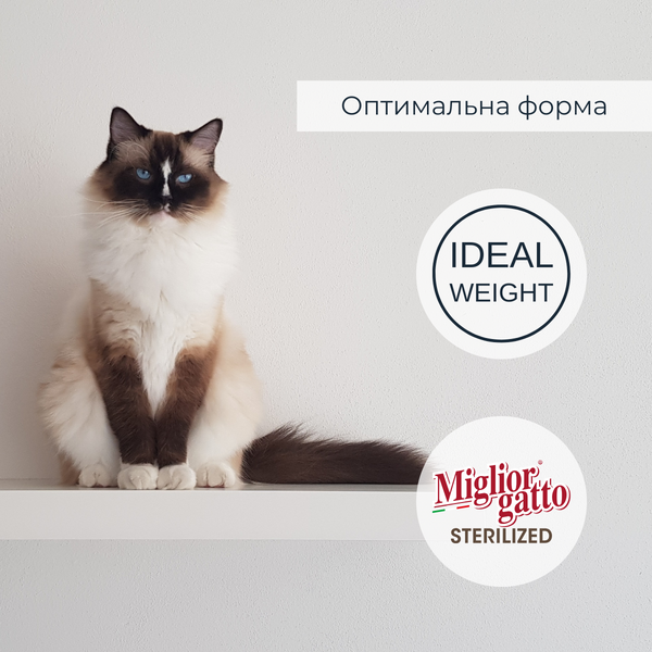 Беззерновые консервы для стерилизованных кошек Migliorgatto Sterilized ягнёнок с овощами кусочки в соусе 85 g 01472 фото