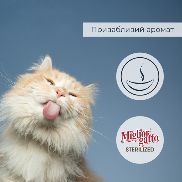 Беззерновые консервы для стерилизованных кошек Migliorgatto Sterilized ягнёнок с овощами кусочки в соусе 85 g 01472 фото