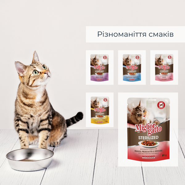 Беззерновые консервы для стерилизованных кошек Migliorgatto Sterilized говядина прошутто кусочки в соусе 85 g 01473 фото