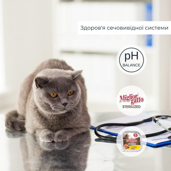 Беззерновые консервы для стерилизованных кошек Migliorgatto Sterilized с курицей и прошутто 100 g 01451 фото