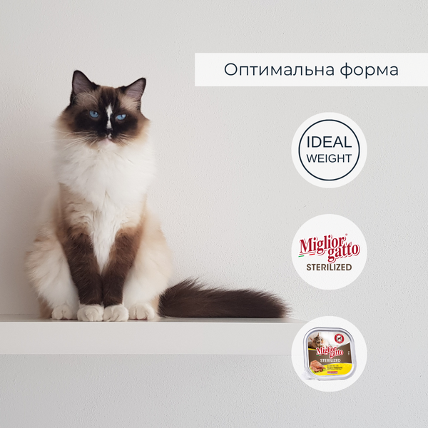 Беззерновые консервы для стерилизованных кошек Migliorgatto Sterilized с курицей и прошутто 100 g 01451 фото