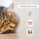 Беззерновые консервы для стерилизованных кошек Migliorgatto Sterilized с курицей и прошутто 100 g 01451 фото 4