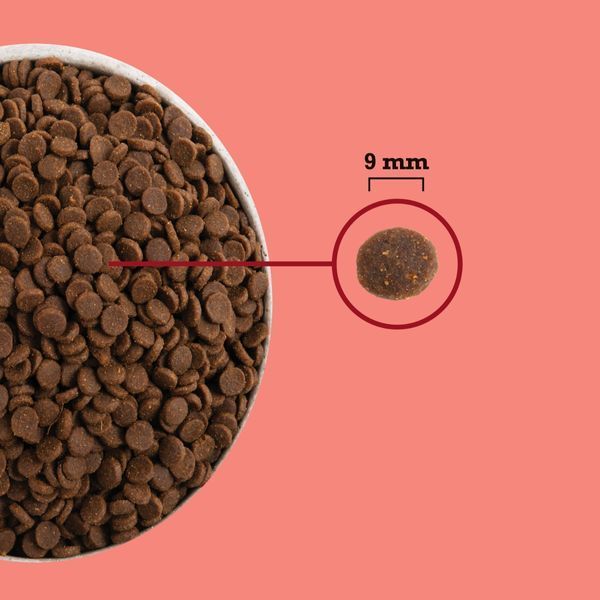 Сухий корм для котів ACANA Highest Protein Indoor Cat з куркою, лососем та фореллю 1,8 kg - 4