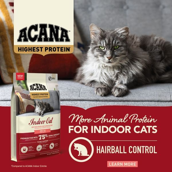 Сухий корм для котів ACANA Highest Protein Indoor Cat з куркою, лососем та фореллю 1,8 kg - 3