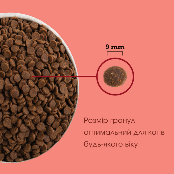Сухой корм для кошек ACANA Highest Protein Indoor Cat с курицей, лососем и форелью 1,8 kg a72397 фото