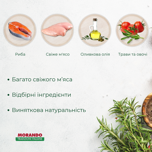 Сухой корм для стерилизованных кошек Morando Tradizioni Sterilized с лососем 400 g 02767 фото