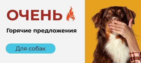 Горячие предложения и скидки на товары для собак | Garapet