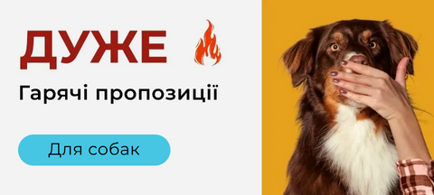 Гарячі пропозиції та знижки на товари для собак | Garapet