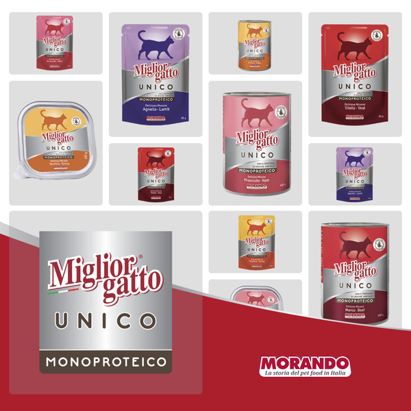 Вологий корм для котів Morando Migliorgatto UNICO Delicious індичка 100 g 02457 фото