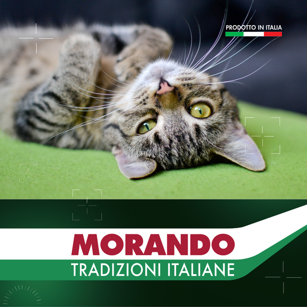 Сухий корм для котів Morando Tradizioni з яловичиною та свининою 9 шт*1,5 kg (13,5 kg) 02770-9 фото