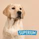 Labrador Retriever with SUPERIUM logo &ndash; Wormtal anthelmintic tablets for dogs