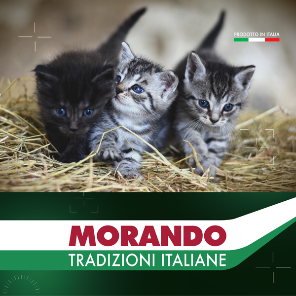 Сухой корм для котят Morando Tradizioni Kitten с курицей и лососем 400 g 02764 фото