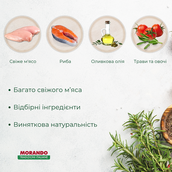Сухой корм для котят Morando Tradizioni Kitten с курицей и лососем 400 g 02764 фото