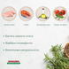 Сухой корм для котят Morando Tradizioni Kitten с курицей и лососем 400 g 02764 фото 3