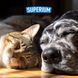 Кіт і собака відпочивають поруч, логотип SUPERIUM
